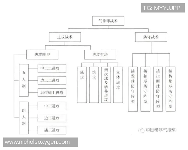 杭州排球队区域防守策略解析与深度剖析排球战术的成功秘诀