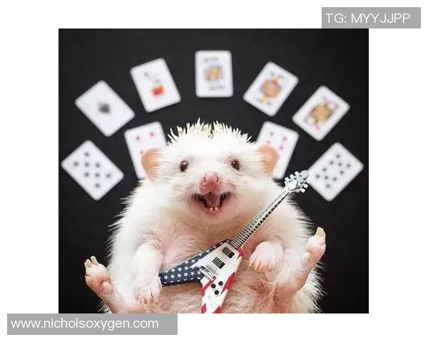 足球明星幽默点评:让你捧腹大笑的经典语录合集 足球明星幽默点评:让你捧腹大笑的经典语录合集