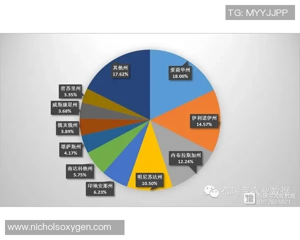 独家分析：杭州排球队的实力对比